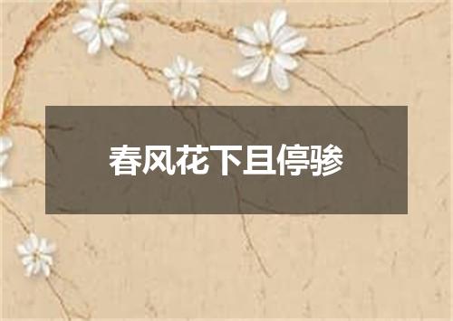 春风花下且停骖