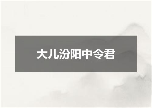 大儿汾阳中令君