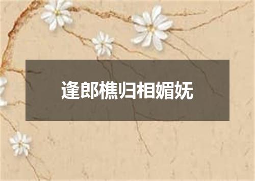 逢郎樵归相媚妩