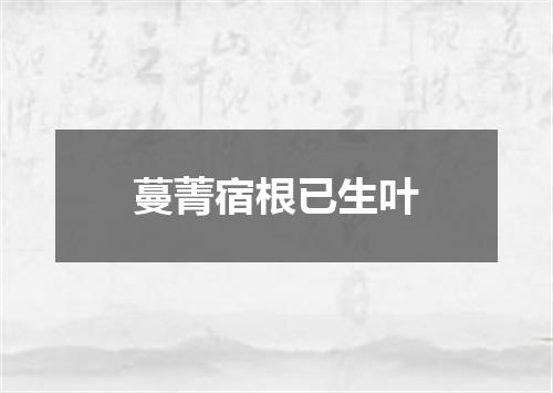 蔓菁宿根已生叶