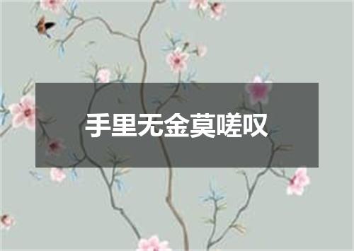 手里无金莫嗟叹