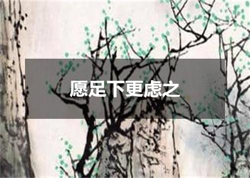 愿足下更虑之
