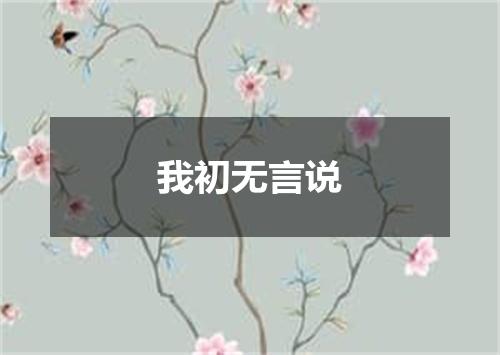 我初无言说