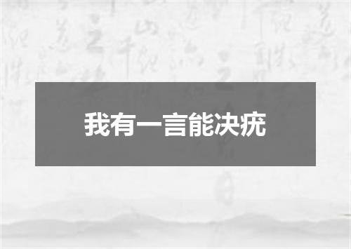 我有一言能决疣