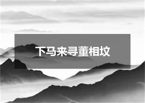 下马来寻董相坟