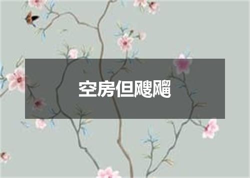 空房但飕飗