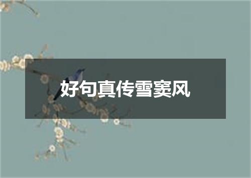好句真传雪窦风