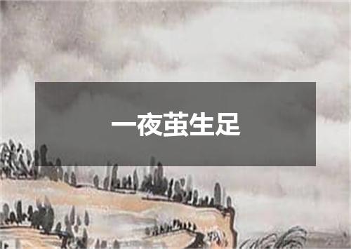 一夜茧生足