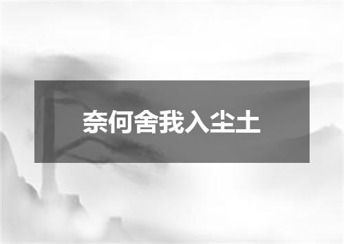 奈何舍我入尘土