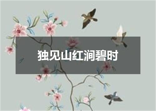 独见山红涧碧时