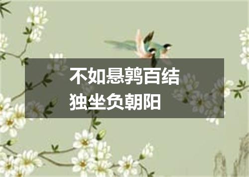 不如悬鹑百结独坐负朝阳