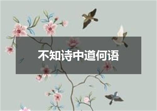 不知诗中道何语