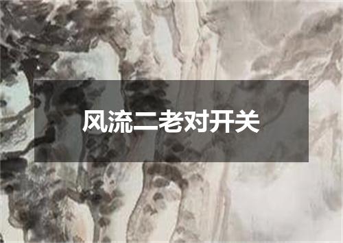 风流二老对开关