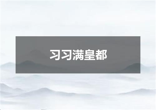 习习满皇都