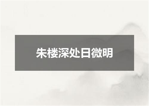 朱楼深处日微明