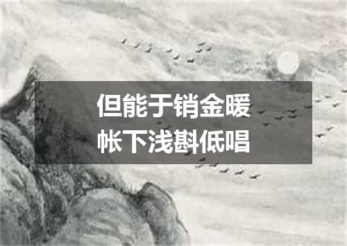 但能于销金暖帐下浅斟低唱