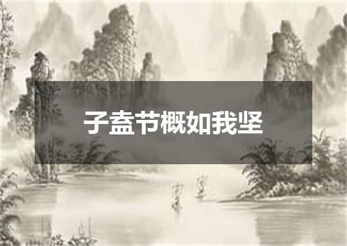 子盍节概如我坚