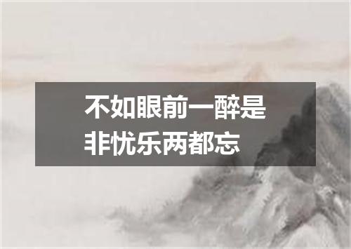 不如眼前一醉是非忧乐两都忘