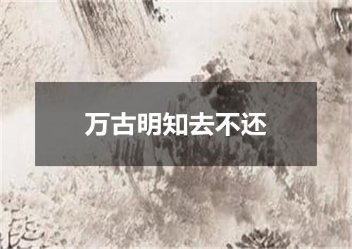 万古明知去不还