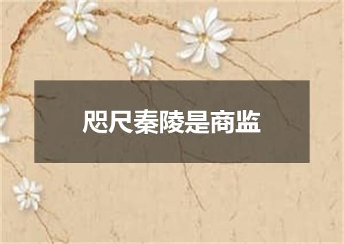 咫尺秦陵是商监