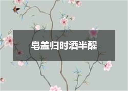 皂盖归时酒半醒