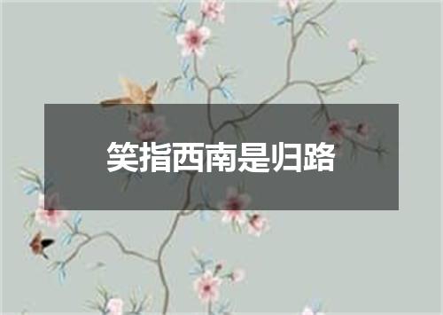 笑指西南是归路