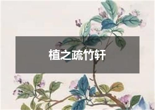 植之疏竹轩