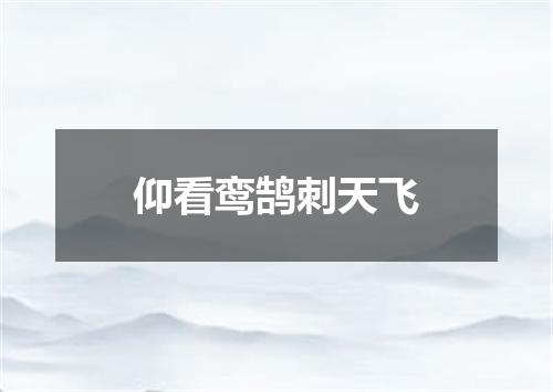 仰看鸾鹄刺天飞