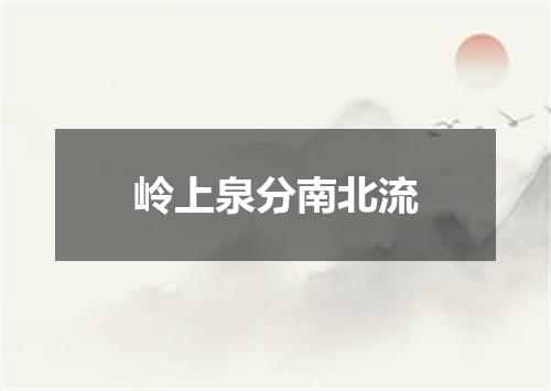 岭上泉分南北流