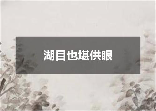 湖目也堪供眼