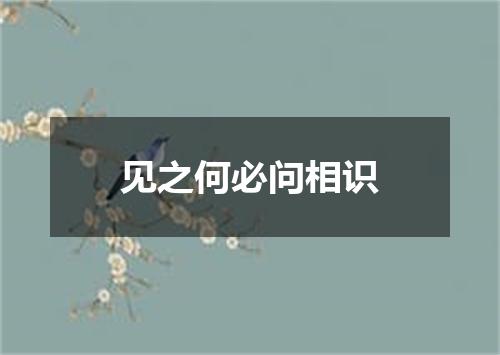 见之何必问相识
