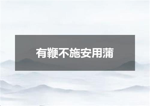 有鞭不施安用蒲