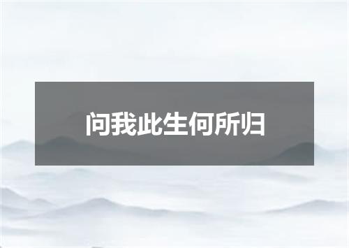 问我此生何所归