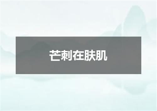 芒刺在肤肌