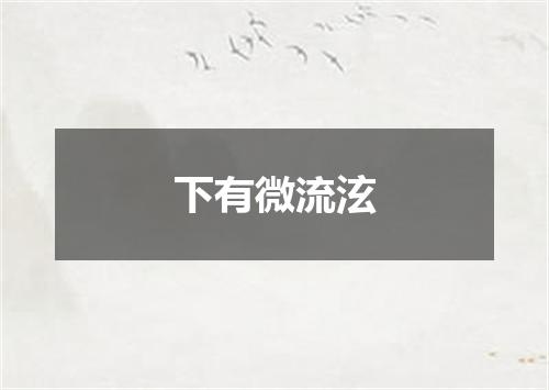 下有微流泫