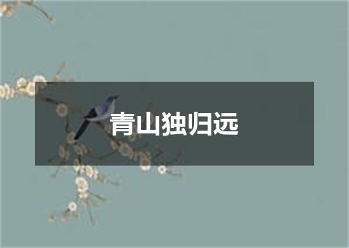青山独归远