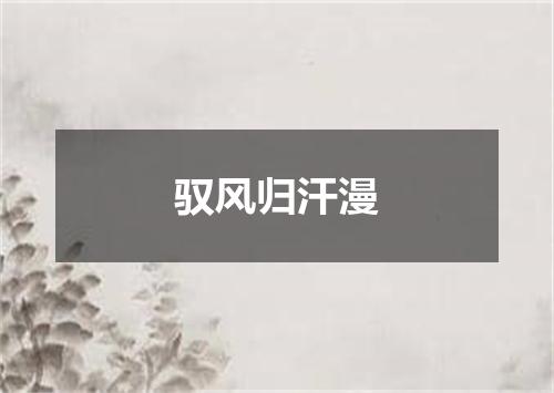 驭风归汗漫