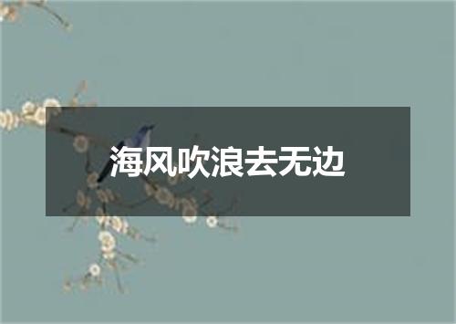 海风吹浪去无边
