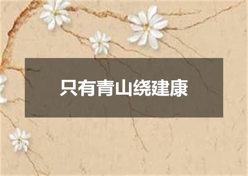 只有青山绕建康