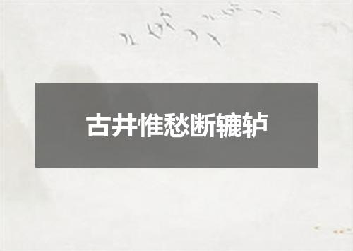 古井惟愁断辘轳