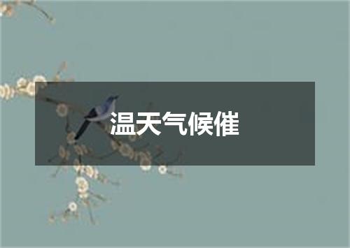 温天气候催