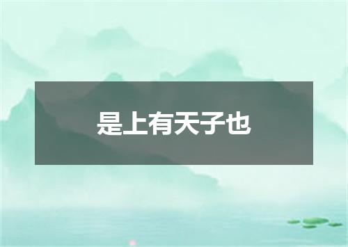 是上有天子也