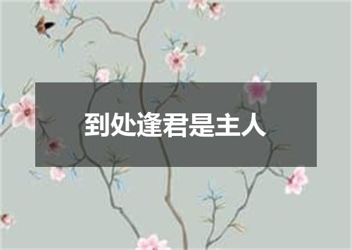 到处逢君是主人