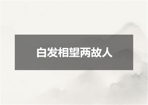白发相望两故人