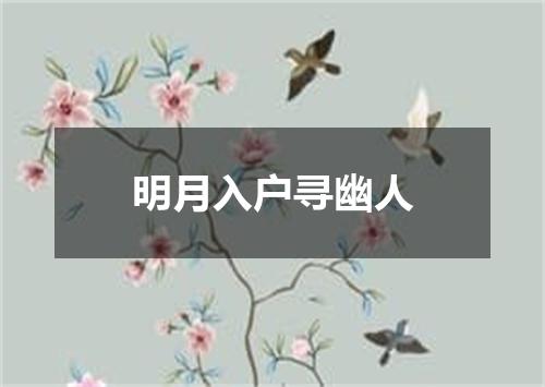 明月入户寻幽人