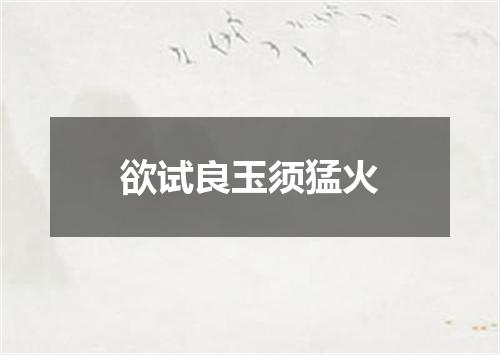 欲试良玉须猛火
