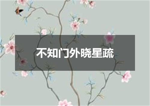 不知门外晓星疏