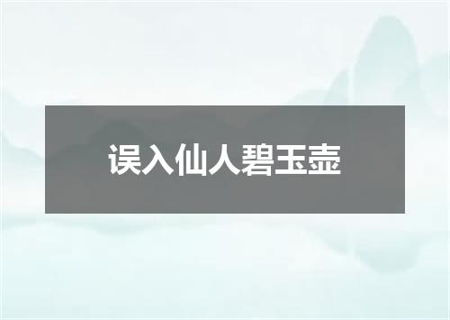 误入仙人碧玉壶
