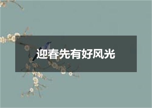 迎春先有好风光