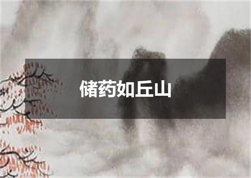 储药如丘山